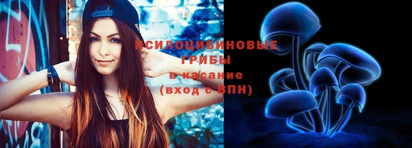 сатива Алексин