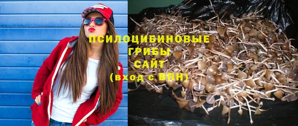 героин Алзамай
