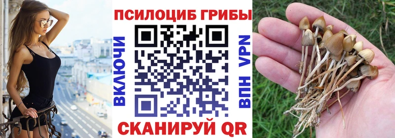 Галлюциногенные грибы Cubensis где купить наркотик Лаишево